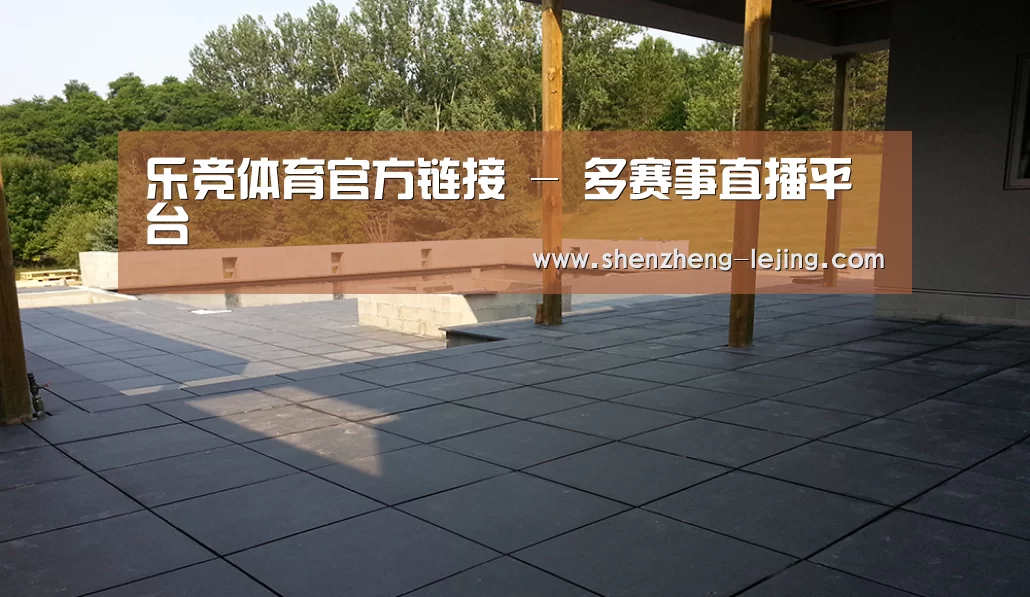 多伦多别墅花园(图2)
