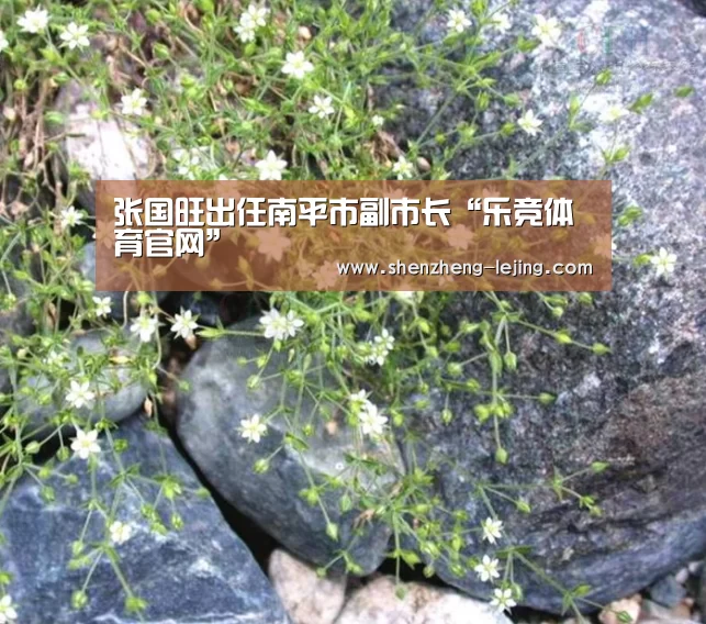 张国旺出任南平市副市长“乐竞体育官网”(图3) 乐竞体育平台